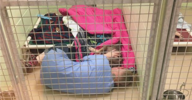 Video of Animal Shelter Staffer Comforting Dog Will Melt Your Heart