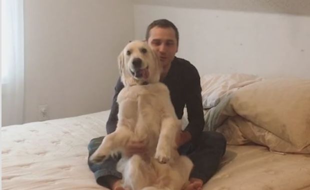 Watch This Super Cute Dog Do Trust Falls Into His Owner’s Arms