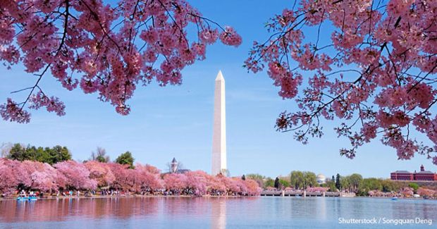 Washington DC Could Be Renamed ‘New Columbia’ If It Becomes a State