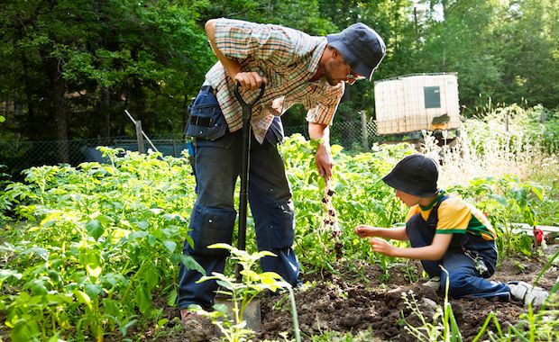 Check Out These Secrets to Get the Most Out of Your Garden