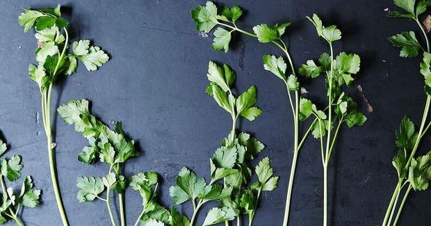 See How You Can Get the Most Out of Your Herbs