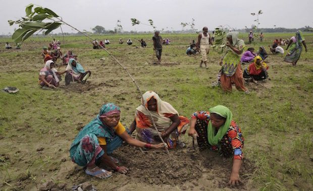 800,000 Indians Vie to Break World Record Planting 50 Million Trees