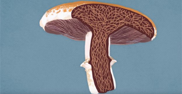 This Is Why You Can Never Overcook Mushrooms