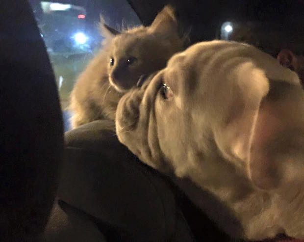 Courtesy Sabrina Hall Facebook