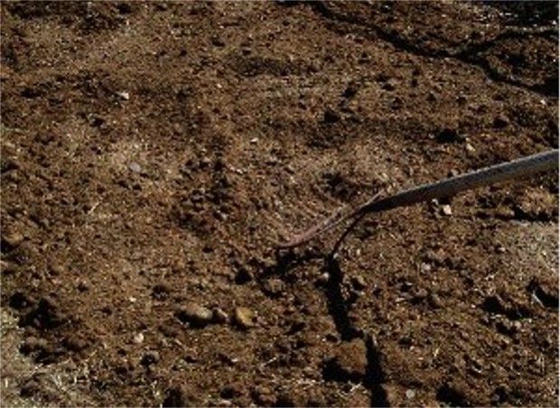 Source: www.vegetable-gardening-advice.com