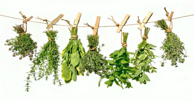 Source: www.loveliness.com.ua