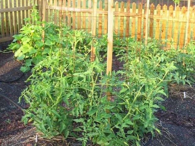 Source: www.diynetwork.com