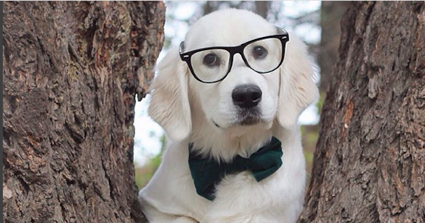 Source: Instagram wat.ki