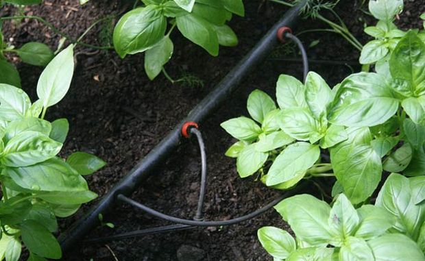 Source: learn.eartheasy.com