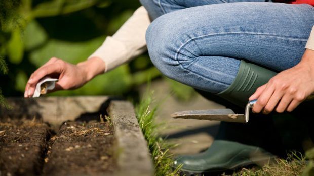 Source: homes.nine.com.au