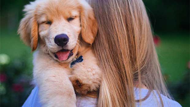 Meet Ollie, a Three-Legged Puppy Who Is About to Melt Your Heart