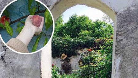 Peaches in Paris: Hidden Gardens in the City of Love