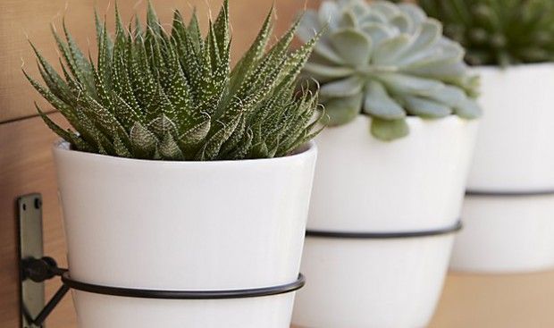 Source: crateandbarrel.com