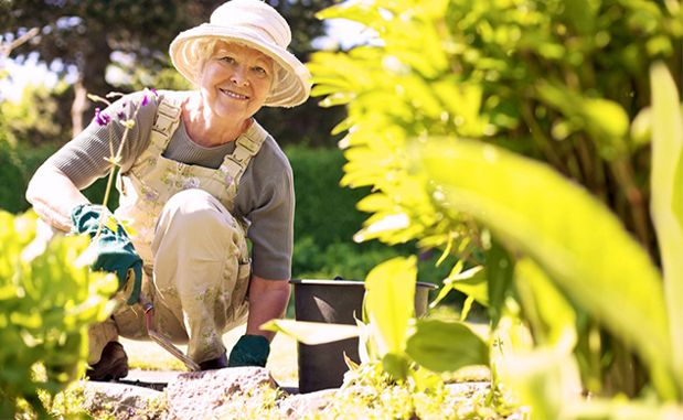 Source: gladysgarden.com