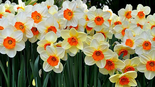 Source: wallpaperfolder.com