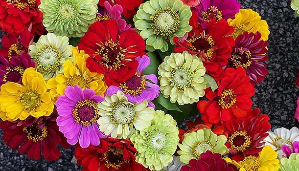 Source: paper4pc.com