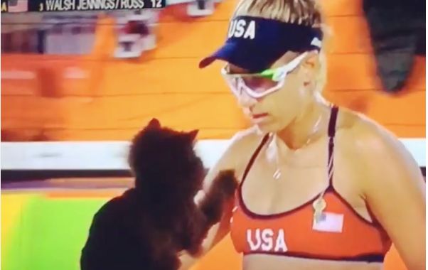 Kitten Expresses Dream of Being an Olympic Beach Volleyball Player