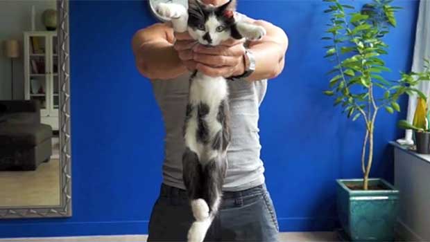 Source: Rumble/ShortyandKodi