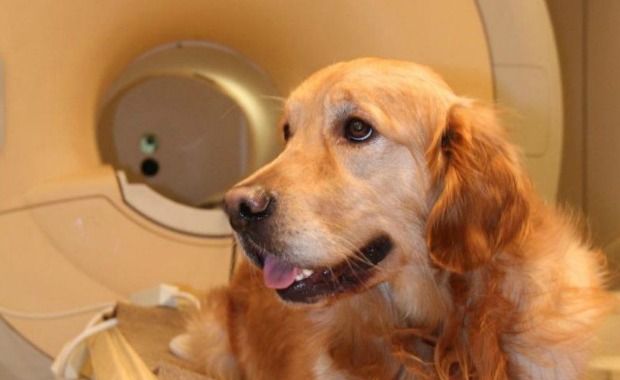 Source: www.telegraph.co.uk