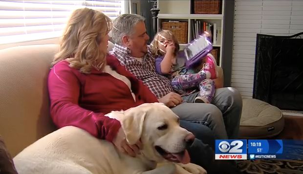 Dog Saves Little Girl’s Life by Detecting Her Blood Sugar Level From 5 Miles Away
