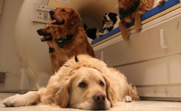 Source: www.telegraph.co.uk