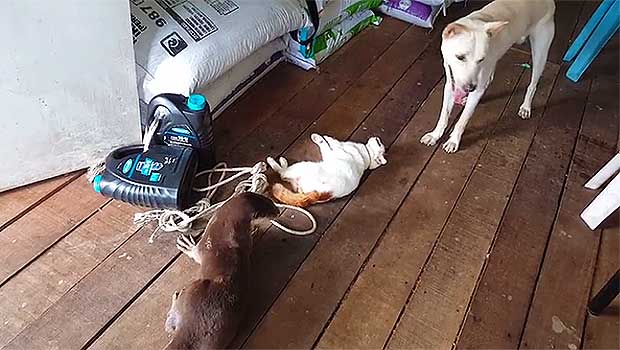 Source: Rumble/JLaunc