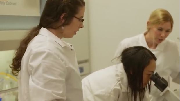FSU Research Team Makes Breakthrough in Potentially Stopping Zika Virus