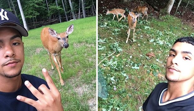This Teen Is Friends With a Deer Named ‘Money’ and Redefining Friendship Goals