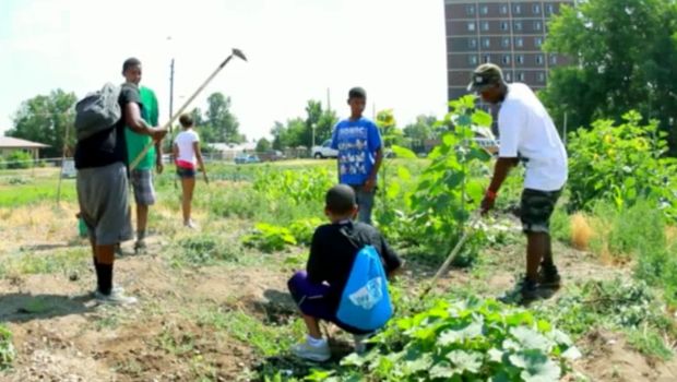Former Gangster Helps Community Through Organic Gardening