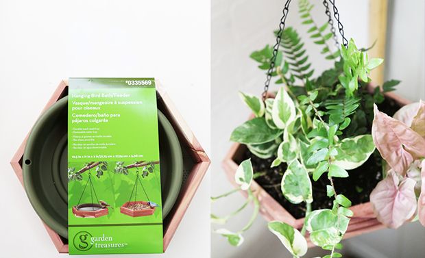 Source: thejungalow.com