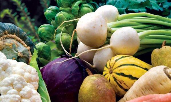 Source: auntiedogmasgardenspot.wordpress.com