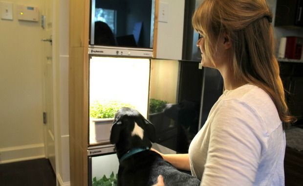 Source: www.replantable.com