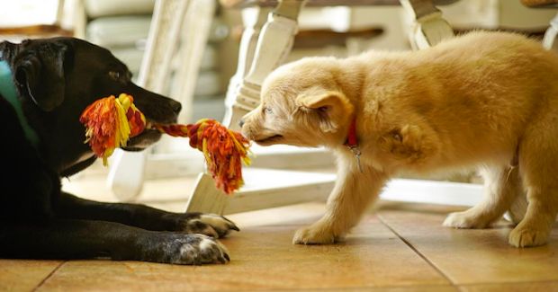 Source: ollievuesomuch