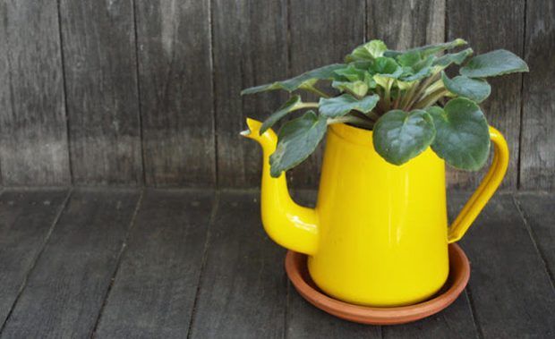 Source: photos.hgtv.com