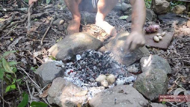 Primitive Technology