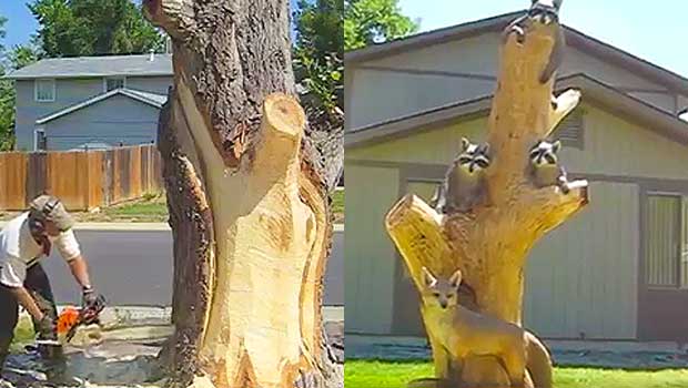Logger Turns Tree Trunk Into Spectacular Animal Sculpture