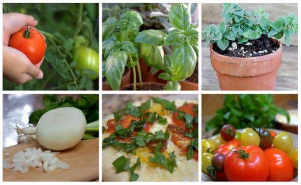 Source: leapfrog.com