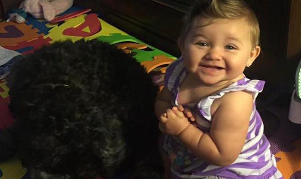 Family Dog Makes Ultimate Sacrifice While Protecting 8-Month-Old From Fire