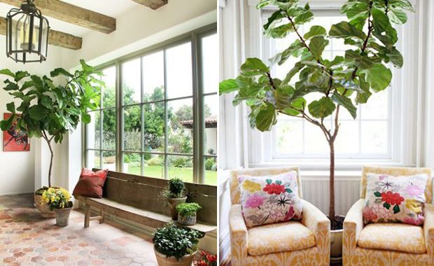 d38ec7b082d36c83b2b4eaae500357e6