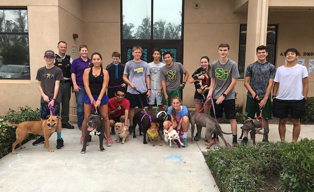 Source: LUIS ESCOBAR