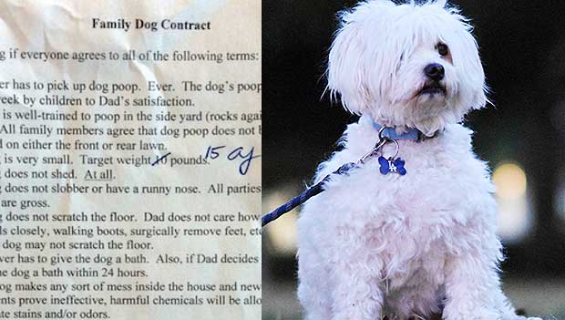 Dad Makes Kids Sign Hysterical Contract in Order to Get a Dog