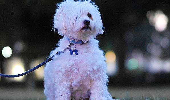 Source: Reddit/rjohnstone13