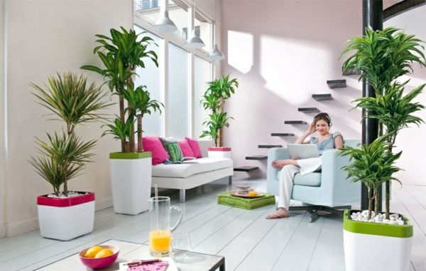 Use Your Garden in Your Home Decor