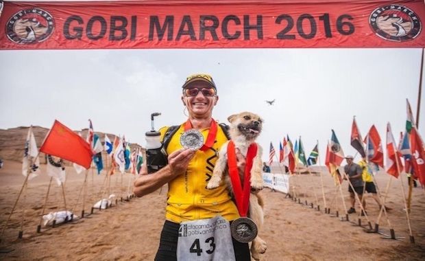 Stray Dog Found a New Home When He Joined a 155-Mile Race