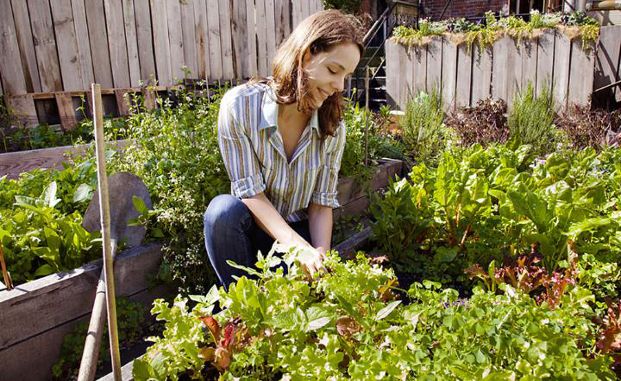 Prepping Your Garden for the Autumn Months