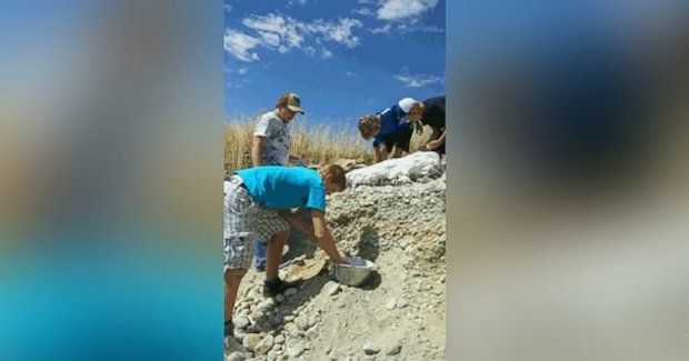 Man Discovers Rare Mammoth Tusk While Digging in His Backyard