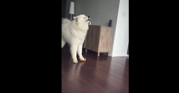 Source: DailyPicksandFlicks