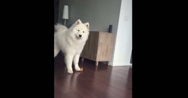 Source: DailyPicksandFlicks