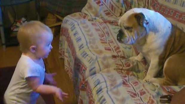 Try Guessing What This Adorable Baby Is Telling the Family Bulldog