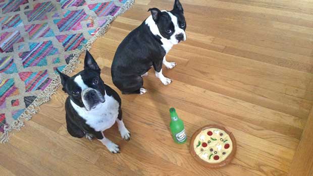 Source: hookhands/Imgur